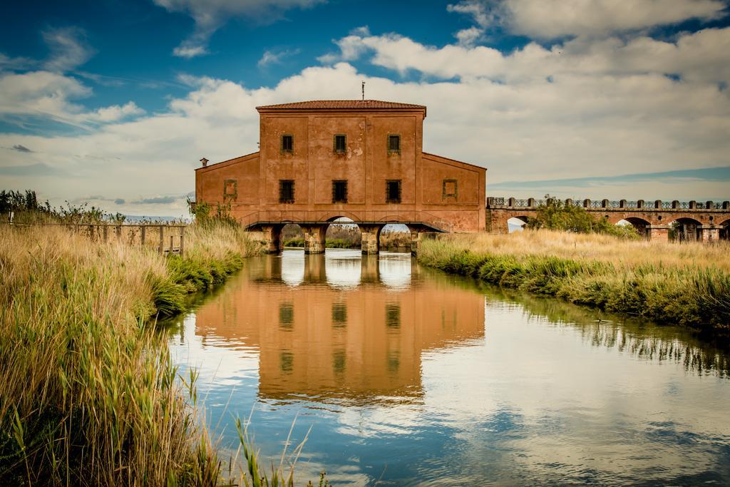 Agriturismo Diaccia Botrona Castiglione della Pescaia Exterior foto